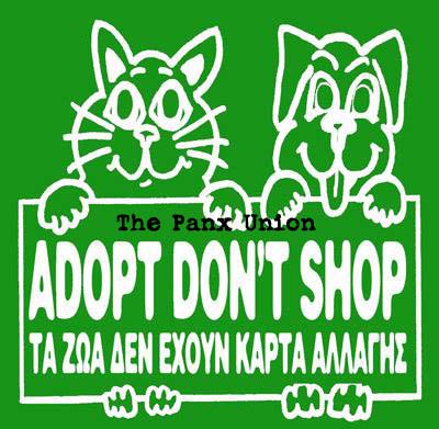 Adopt don't Shop